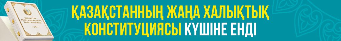 Конституция